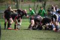 RUGBY CHARTRES 185.JPG